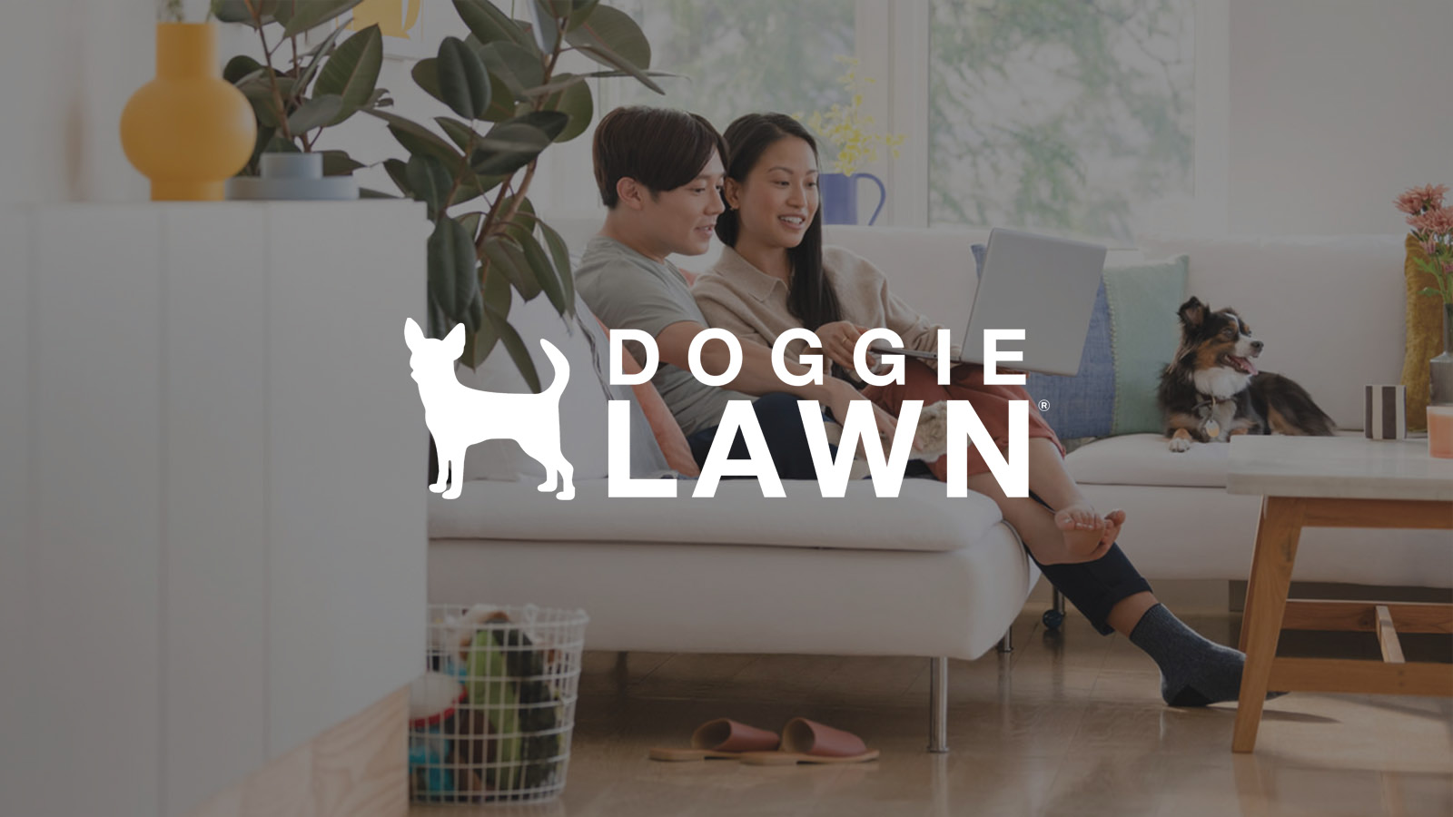doggie lawn case study couple with dog on sofa